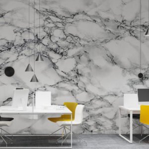 Wall Wonder: - Monochrome Marble Mural