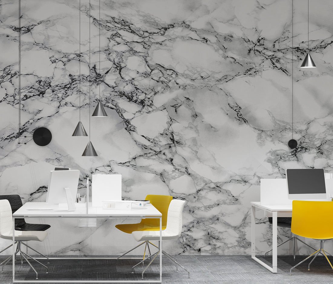 Wall Wonder: - Monochrome Marble Mural